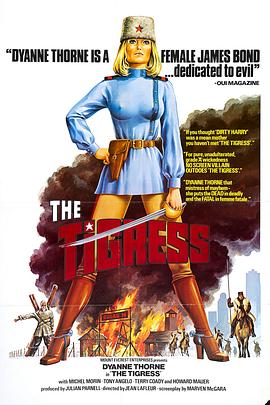 淄博seo优化培训